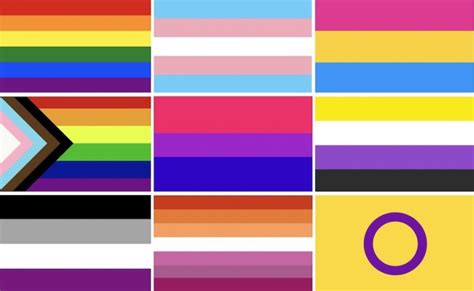 steag gay|28 LGBTQ+ PRIDE FLAGS: LESBIAN, GAY, BISEXUAL+ [2024]